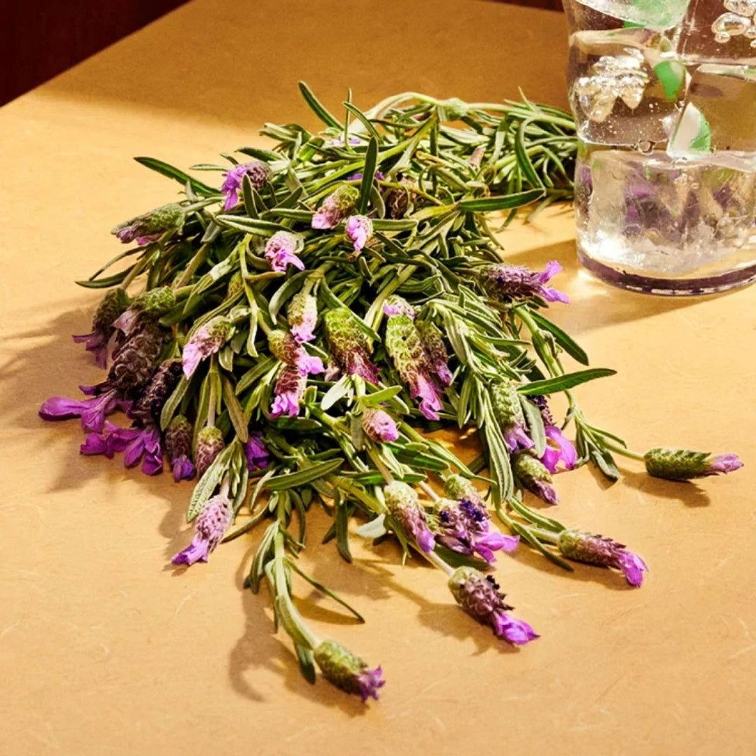 GUCCI | GUILTY EAU DE PARFUM Mayshka