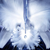 GUERLAIN | ORCHIDÉE IMPÉRIALE - MOUSSE NETTOYANTE RICHE - Mayshka