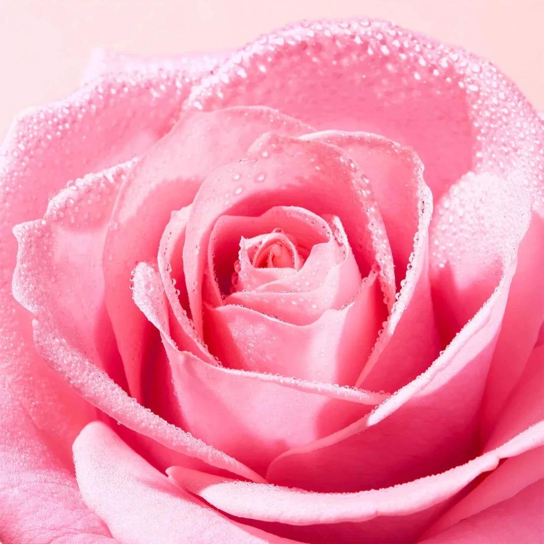 NUXE | VERY ROSE BRUME TONIQUE RAFRAICHISSANTE Mayshka