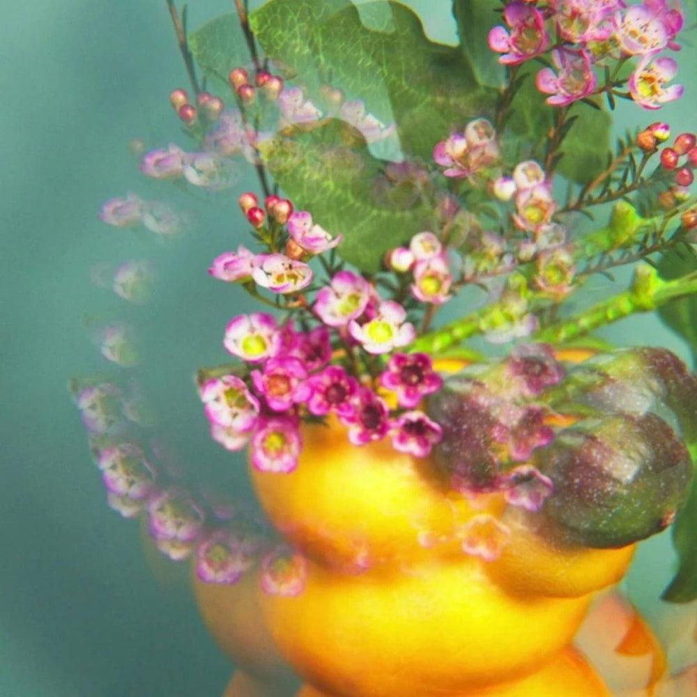 ROGER & GALLET | LAIT CORPS BIENFAISANT - FLEUR DE FIGUIER - Mayshka