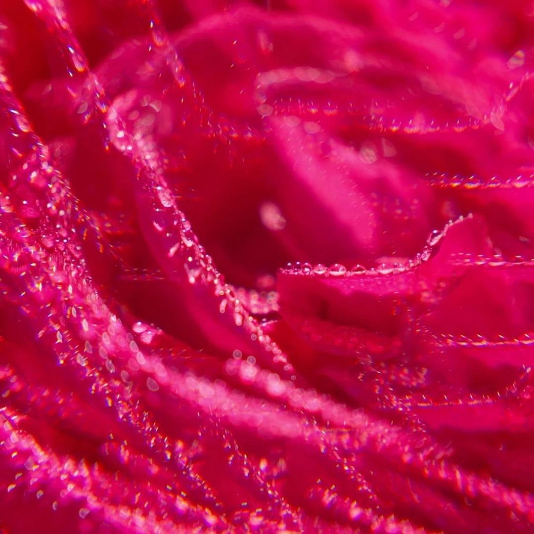 ROGER & GALLET | LAIT CORPS BIENFAISANT - ROSE - Mayshka