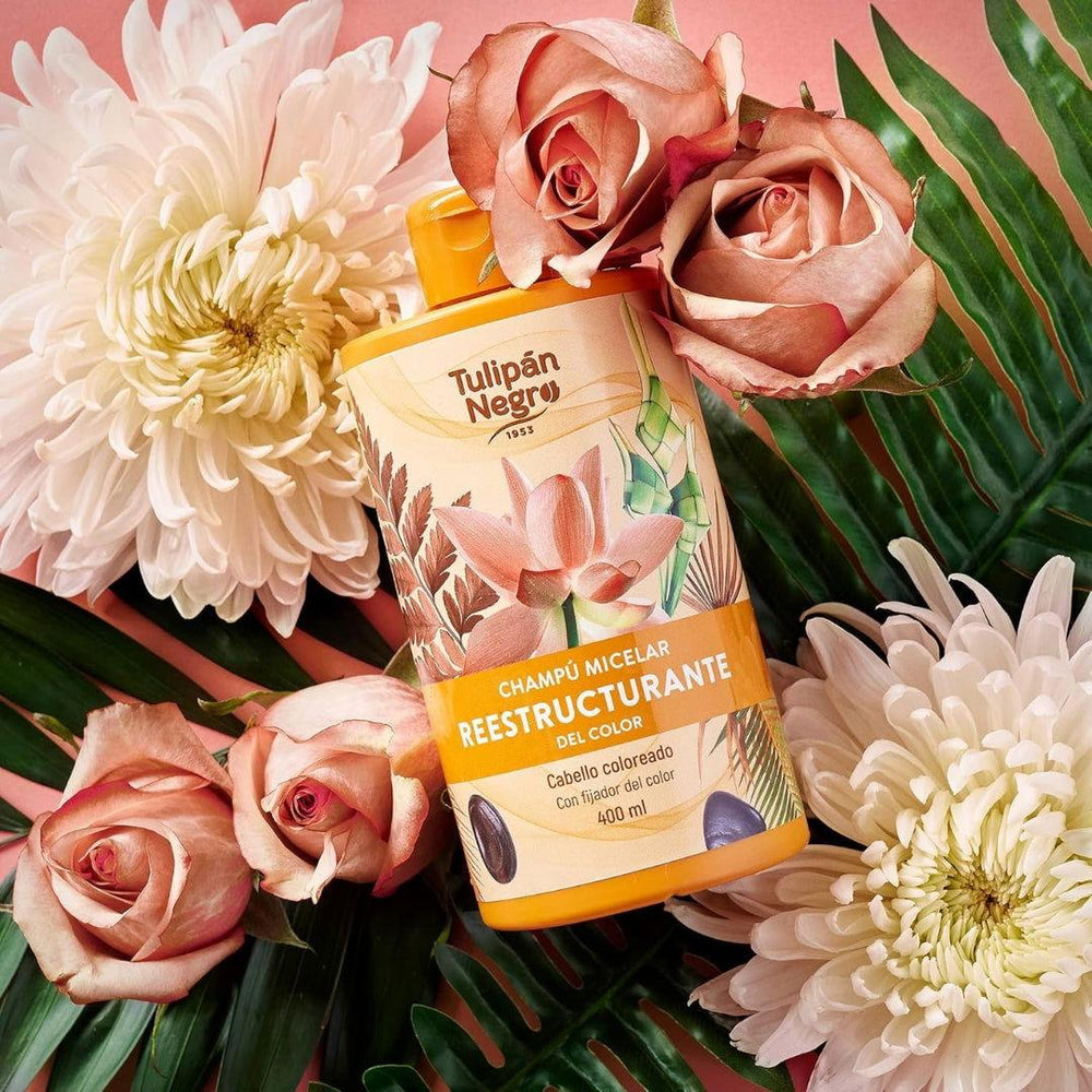 TULIPAN NEGRO| SHAMPOOING MICELLAIRE RESTRUCTURANT - CHEVEUX TEINTS - Mayshka