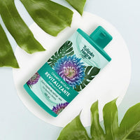 TULIPAN NEGRO | SHAMPOOING MICELLAIRE  REVITALISANT & FORTFIANT - Mayshka