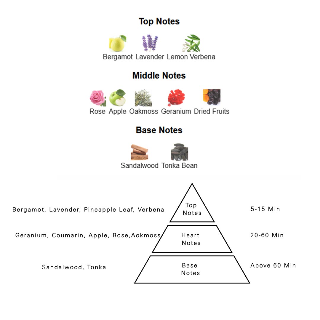 AURORA SCENTS  | AROMA V EAU DE PARFUM -HOMME