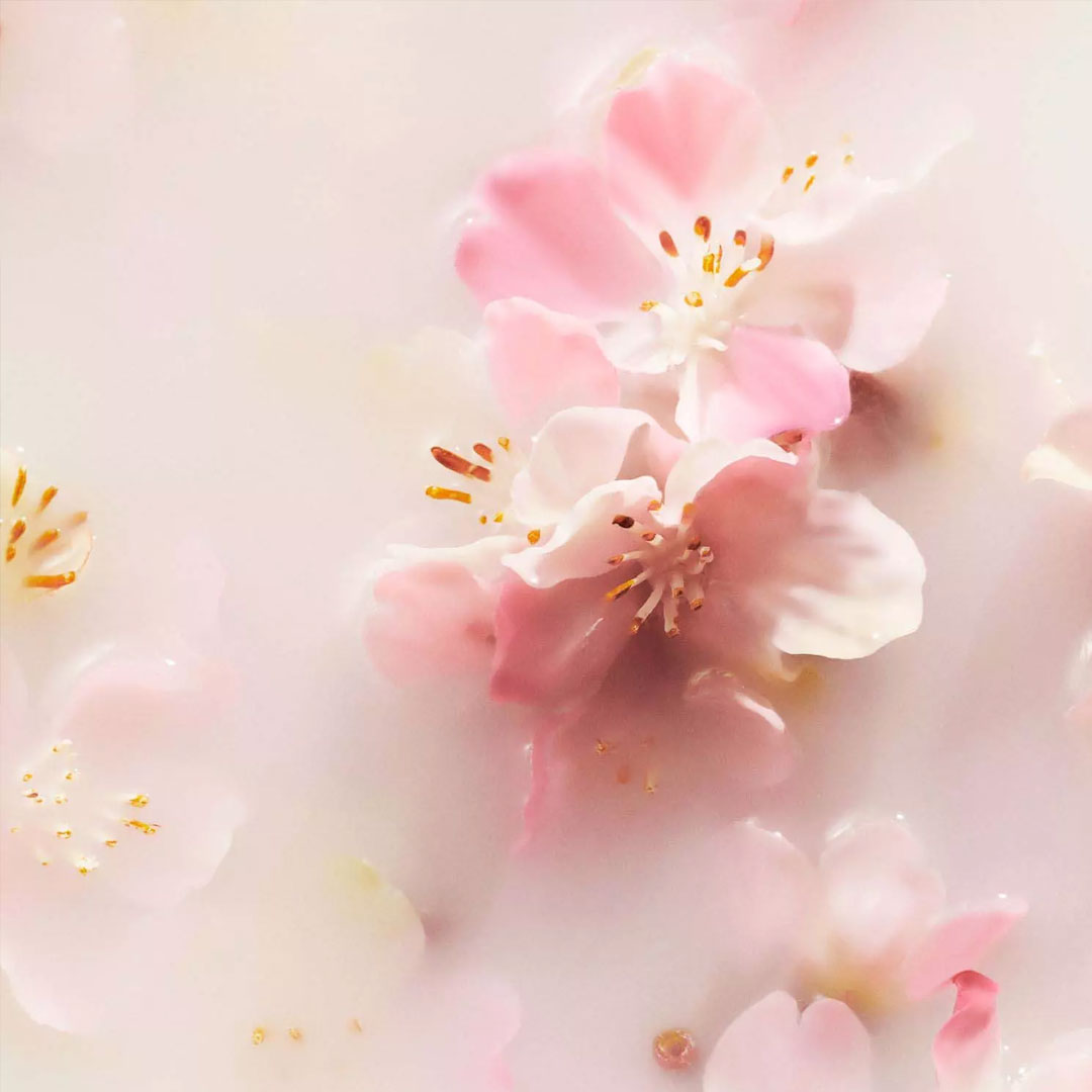 RITUALS | LUXURY CAR AIR FRESHENER - CHERRY BLOSSOM & RICE MILK