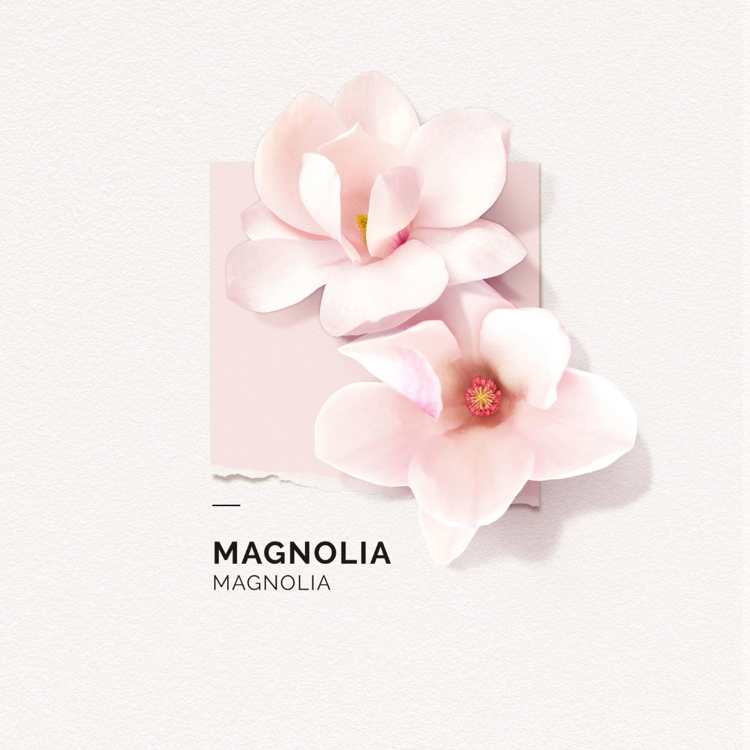 SOLINOTES | EAU DE PARFUM MANGOLIA