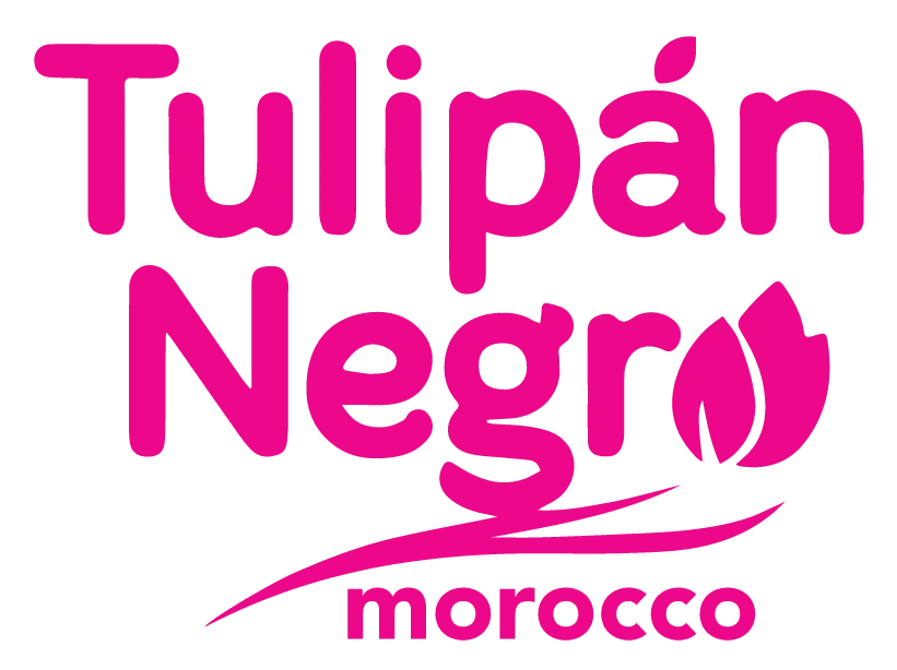 TULIPAN NEGRO logo
